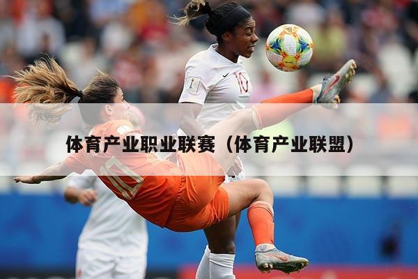 体育产业职业联赛（体育产业联盟）