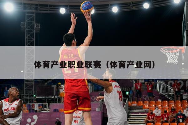 体育产业职业联赛（体育产业网）