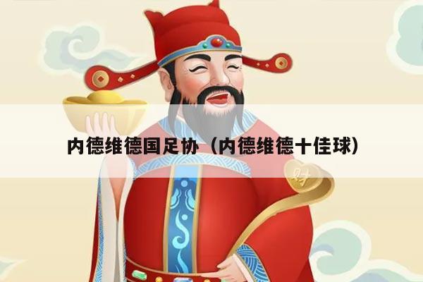 内德维德国足协（内德维德十佳球）
