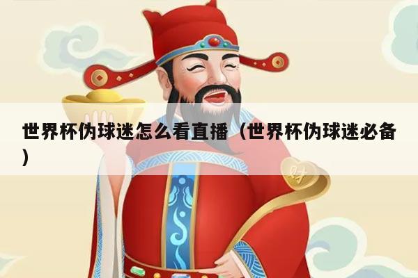 世界杯伪球迷怎么看直播（世界杯伪球迷必备）