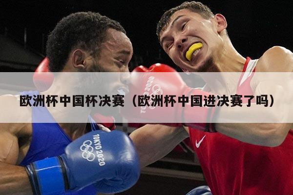 欧洲杯中国杯决赛（欧洲杯中国进决赛了吗）
