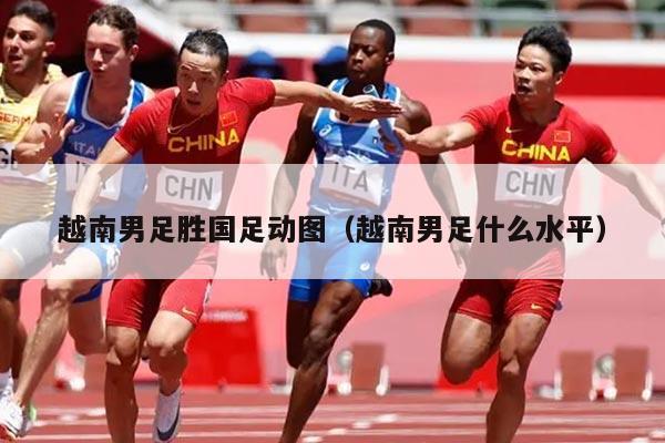 越南男足胜国足动图（越南男足什么水平）