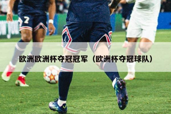 欧洲欧洲杯夺冠冠军（欧洲杯夺冠球队）