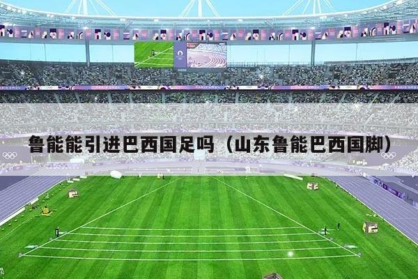 鲁能能引进巴西国足吗（山东鲁能巴西国脚）