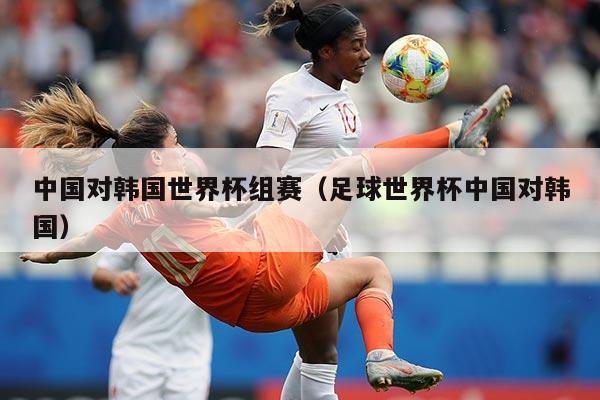 中国对韩国世界杯组赛（足球世界杯中国对韩国）