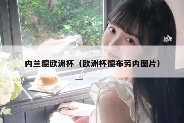 内兰德欧洲杯（欧洲杯德布劳内图片）