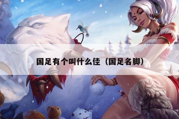 国足有个叫什么佳（国足名脚）