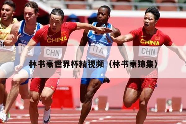 林书豪世界杯精视频（林书豪锦集）