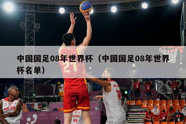 中国国足08年世界杯（中国国足08年世界杯名单）